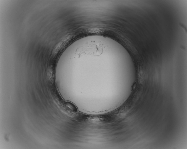 X0000103420407200809261712