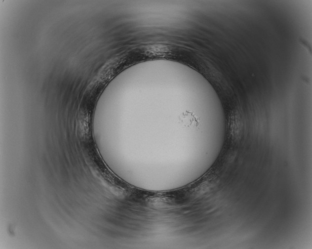 X0000103420408200809261712