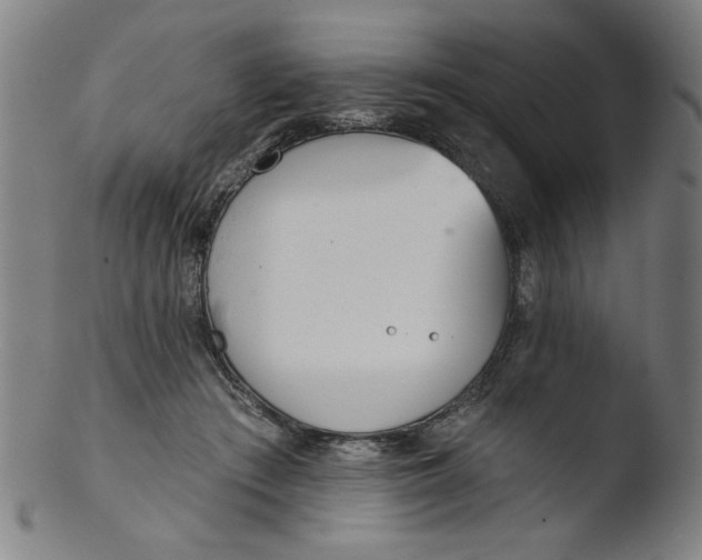 X0000103420409200809261712