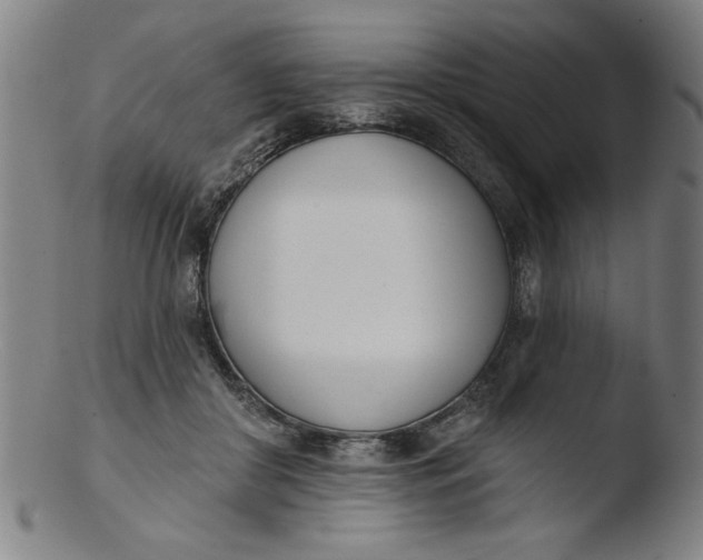 X0000103420410200809261712