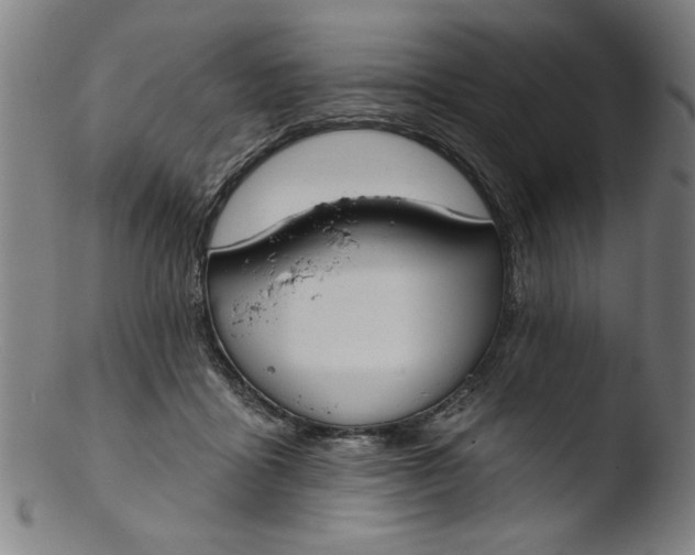 X0000103420411200809261712