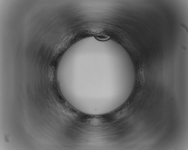 X0000103420412200809261712