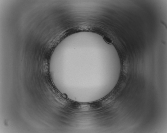 X0000103420413200809261712