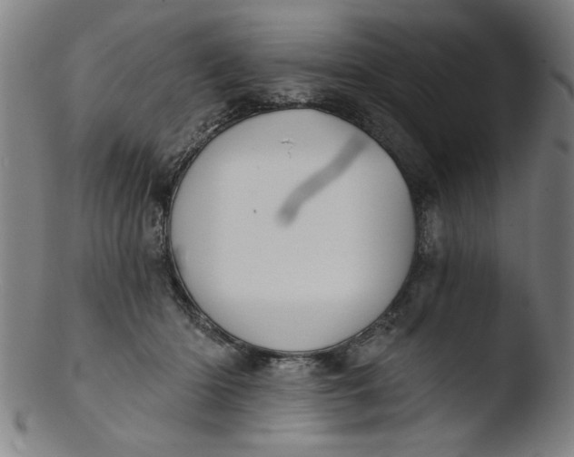X0000103420414200809261712