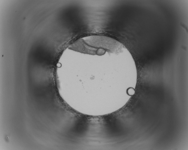 X0000103420415200809261712