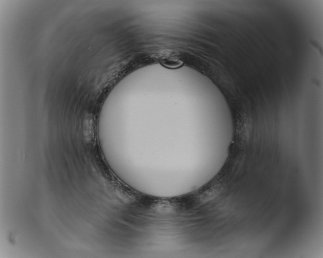 X0000103420416200809261712