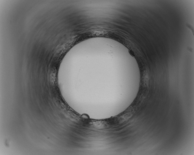 X0000103420417200809261712