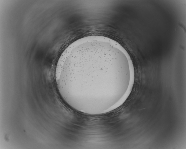 X0000103420419200809261712