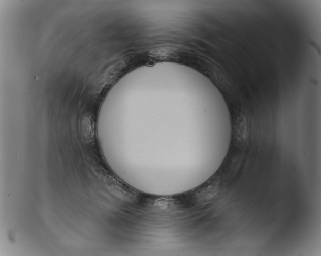 X0000103420420200809261712