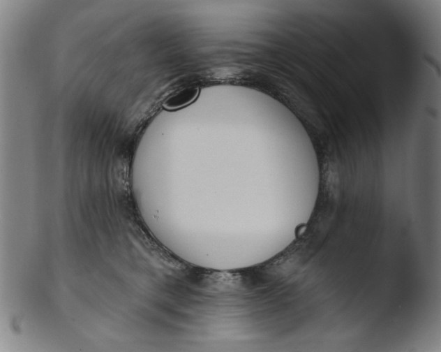 X0000103420421200809261712