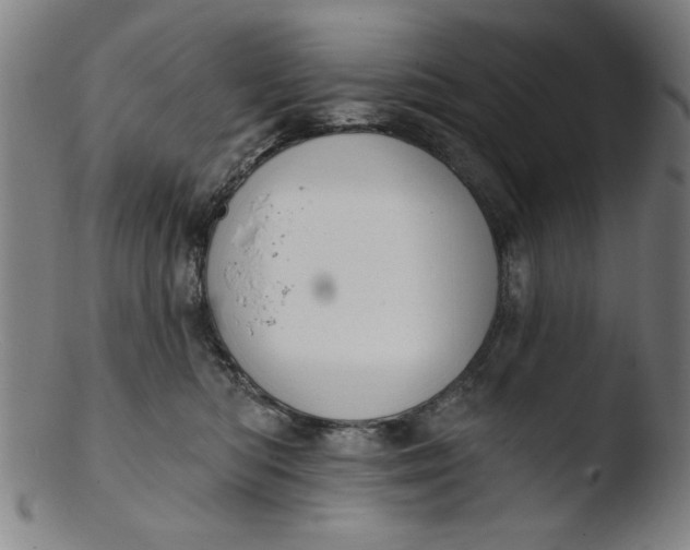 X0000103420422200809261712