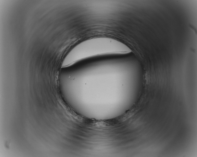 X0000103420423200809261712