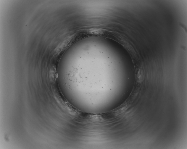 X0000103420424200809261712
