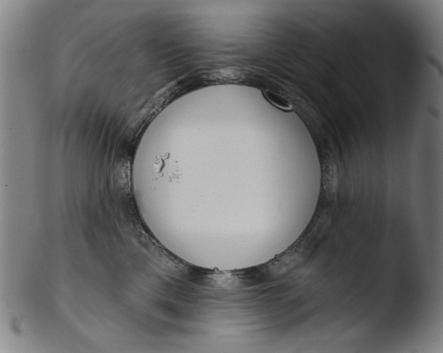 X0000103420425200809261712
