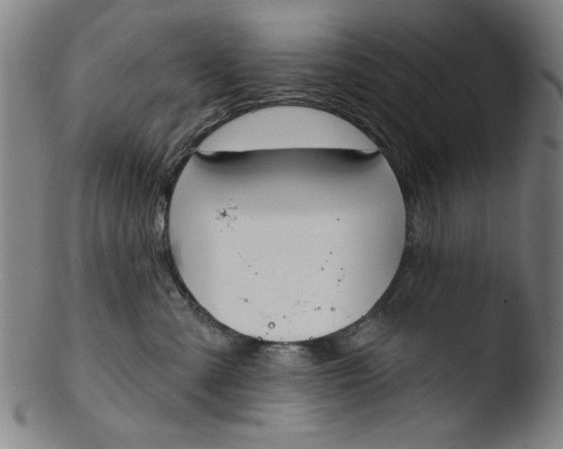 X0000103420427200809261712