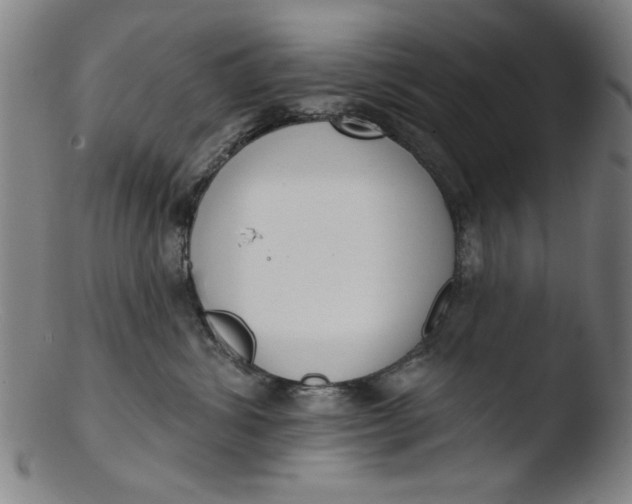 X0000103420428200809261712
