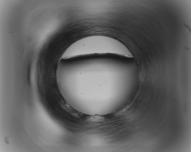 X0000103420429200809261712