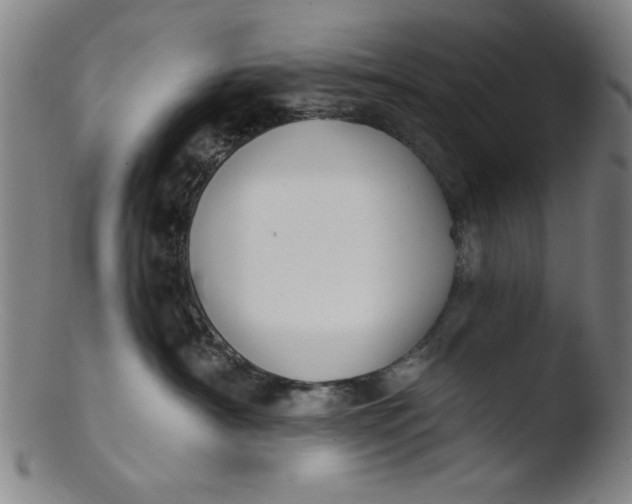 X0000103420430200809261712