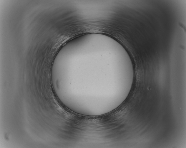 X0000103420433200809261711