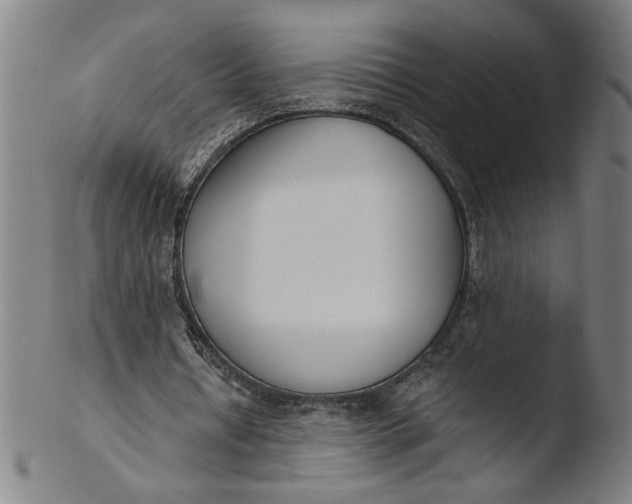 X0000103420434200809261711