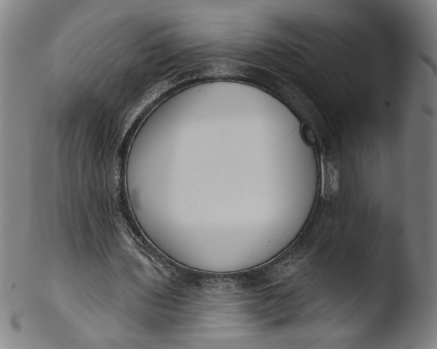 X0000103420435200809261711