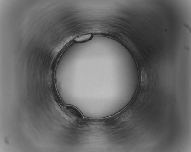 X0000103420436200809261711