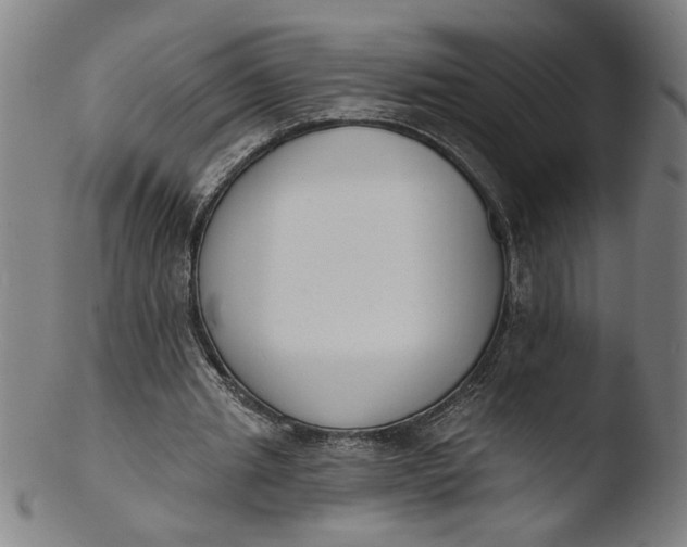 X0000103420437200809261711