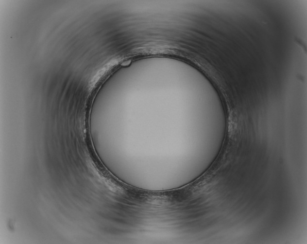 X0000103420438200809261711