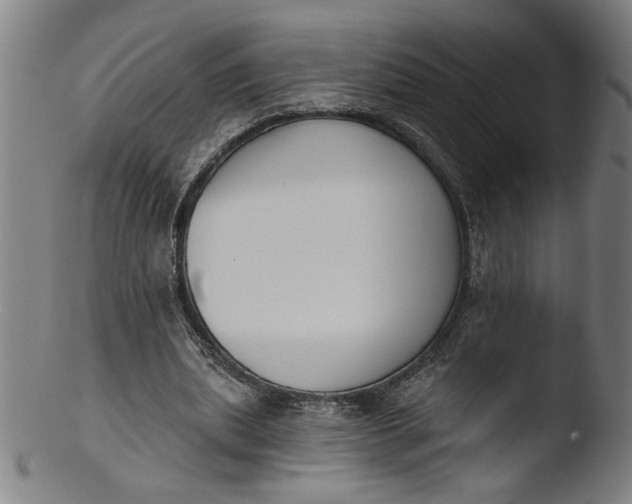 X0000103420439200809261711