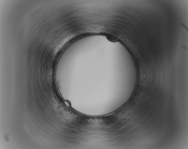 X0000103420440200809261711