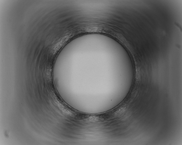 X0000103420441200809261711