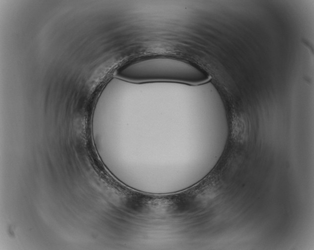 X0000103420444200809261711