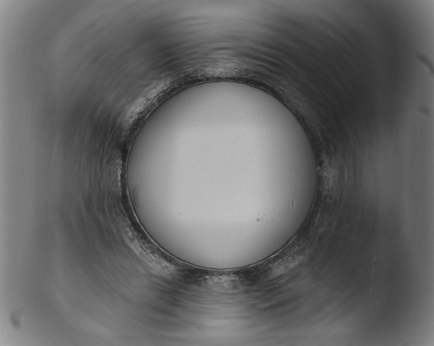 X0000103420446200809261711