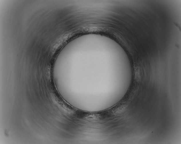 X0000103420447200809261711