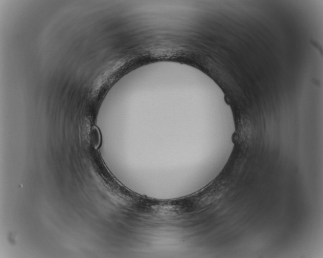 X0000103420448200809261711