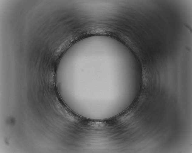 X0000103420449200809261711