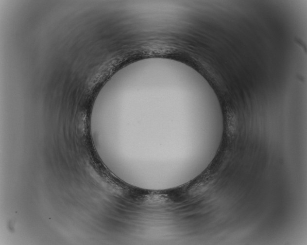 X0000103420451200809261711