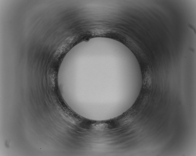 X0000103420452200809261711