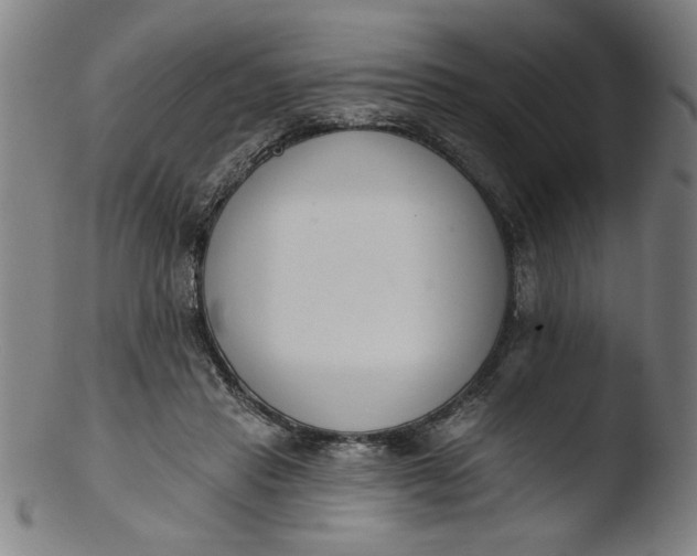 X0000103420453200809261711