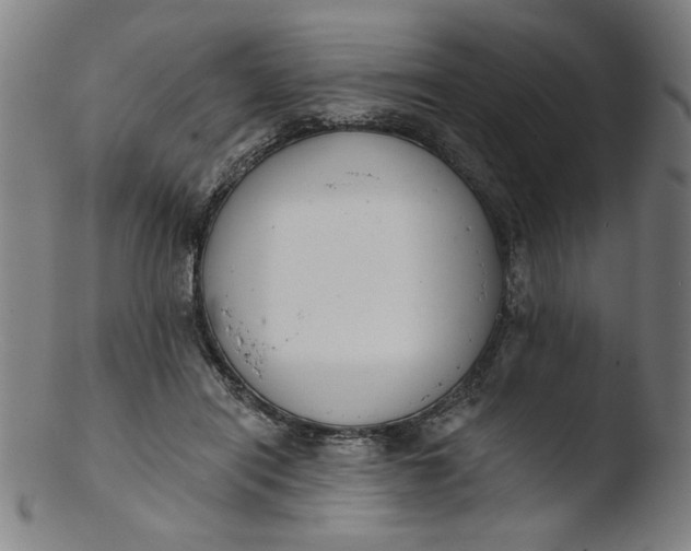 X0000103420454200809261711