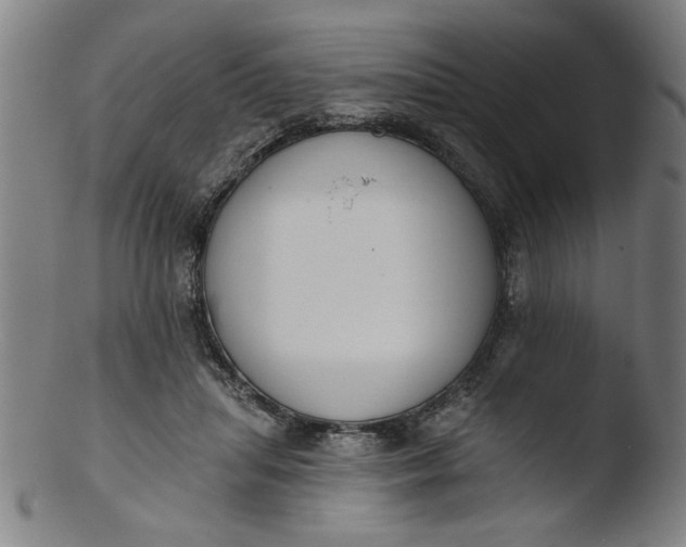 X0000103420455200809261711