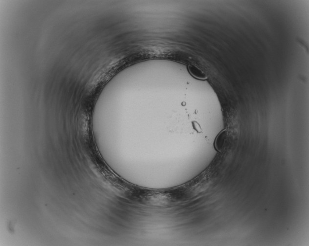 X0000103420456200809261711