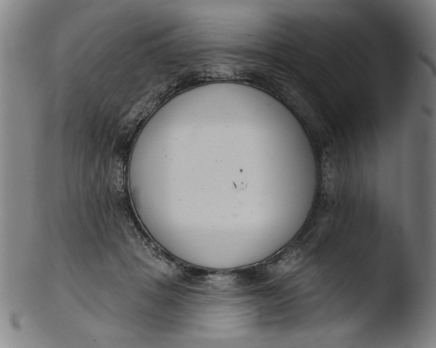 X0000103420457200809261711