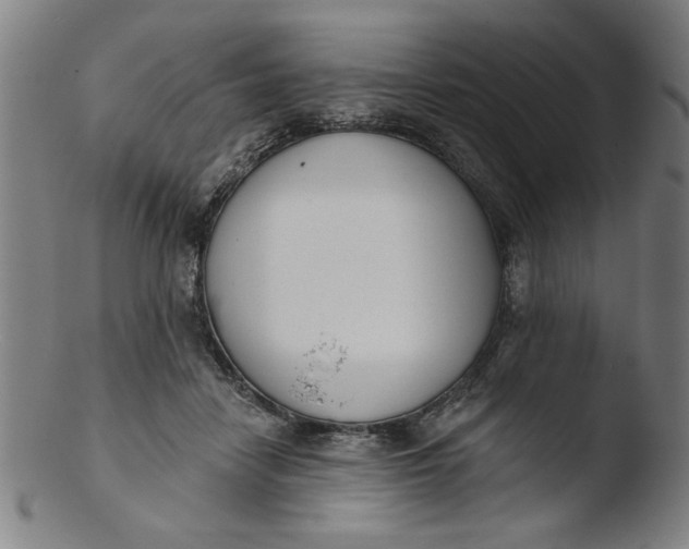 X0000103420458200809261711