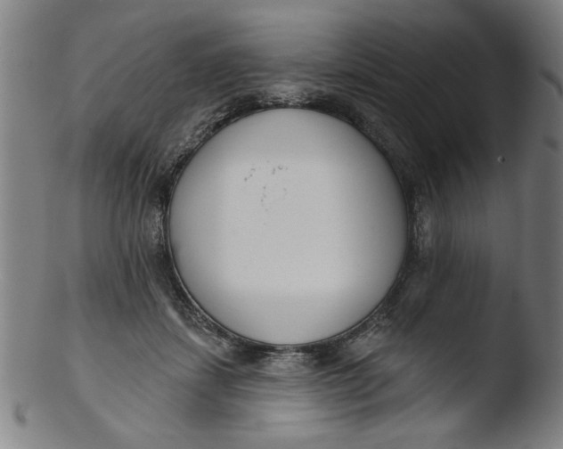 X0000103420459200809261711