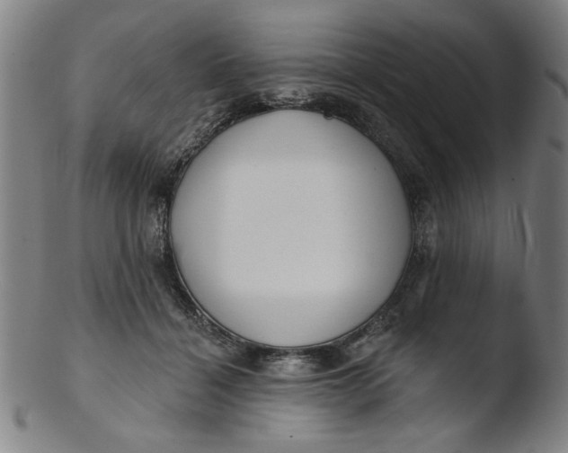 X0000103420460200809261711