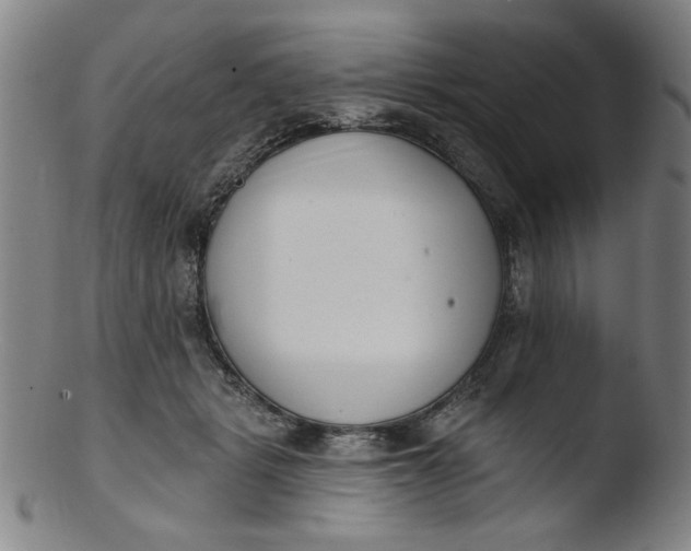 X0000103420461200809261711