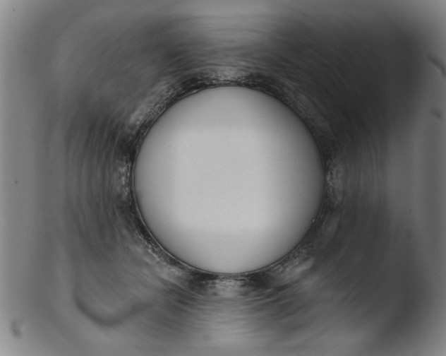 X0000103420462200809261711