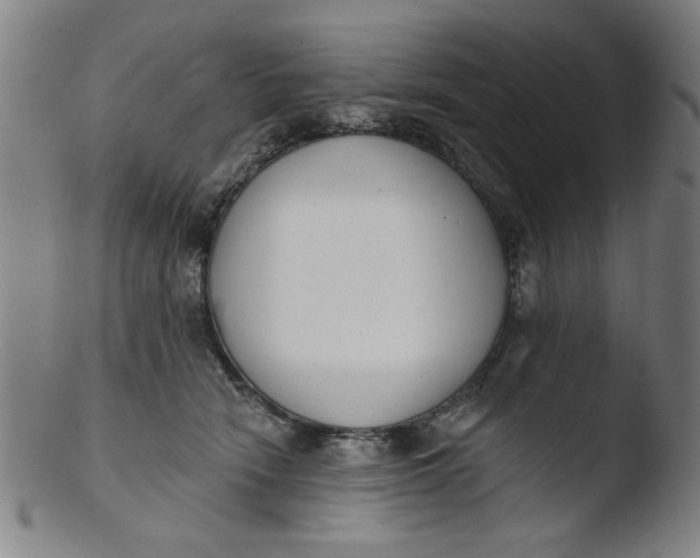 X0000103420466200809261711