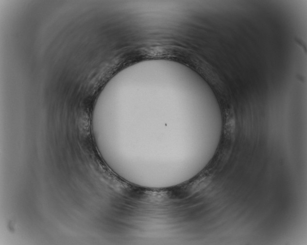 X0000103420469200809261711